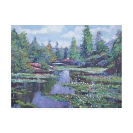 David Lloyd Glover 'Spring Watergarden' Canvas Art,35x47